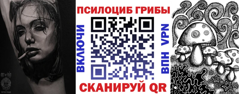 купить   Полесск  Псилоцибиновые грибы Cubensis 