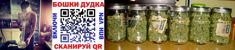 Шишки марихуана семена  где купить   Полесск 